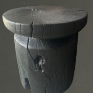 PAROTA I.0