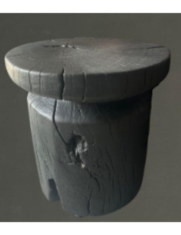 PAROTA I.0